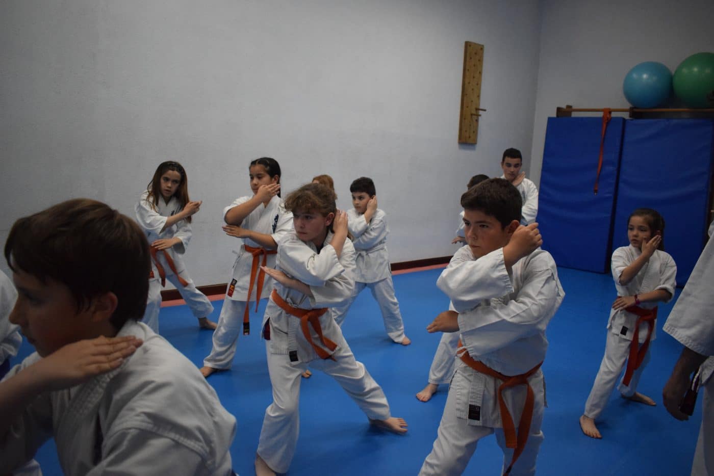 Haro será el escenario del Campeonato Interautonómico de Kyokushin el 27 de mayo 3 Haro será el escenario del Campeonato Interautonómico de Kyokushin el 27 de mayo 3