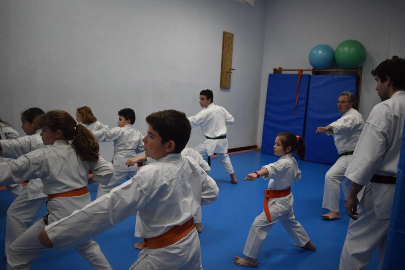 Haro será el escenario del Campeonato Interautonómico de Kyokushin el 27 de mayo 1 Haro será el escenario del Campeonato Interautonómico de Kyokushin el 27 de mayo 1