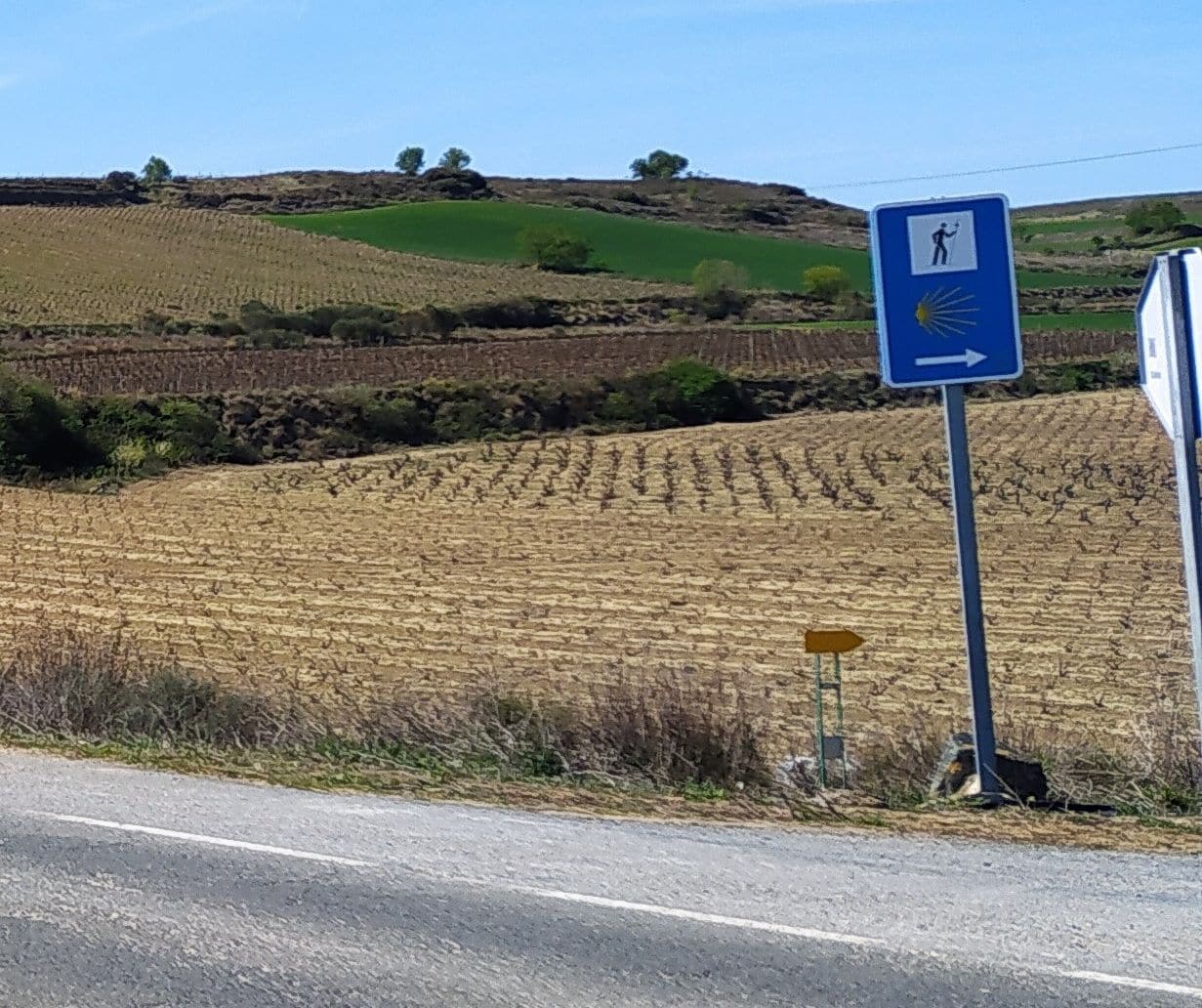 Términos y caminos australes de Haro (III) 5