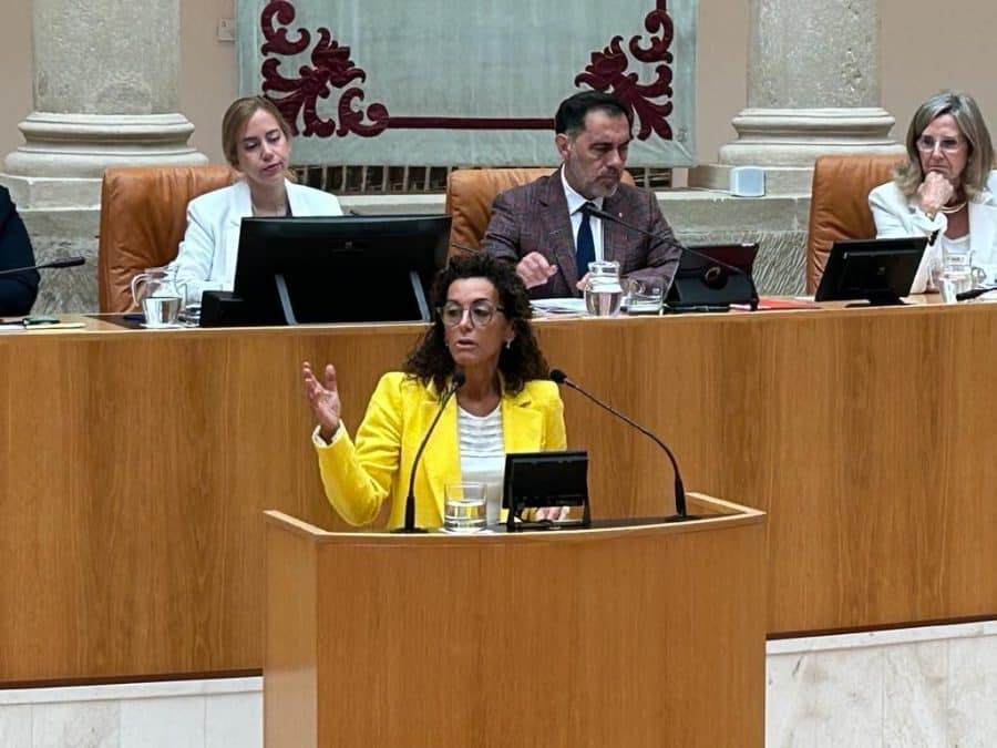 El pleno del Parlamento riojano designa a Mar Cotelo como senadora autonómica 1