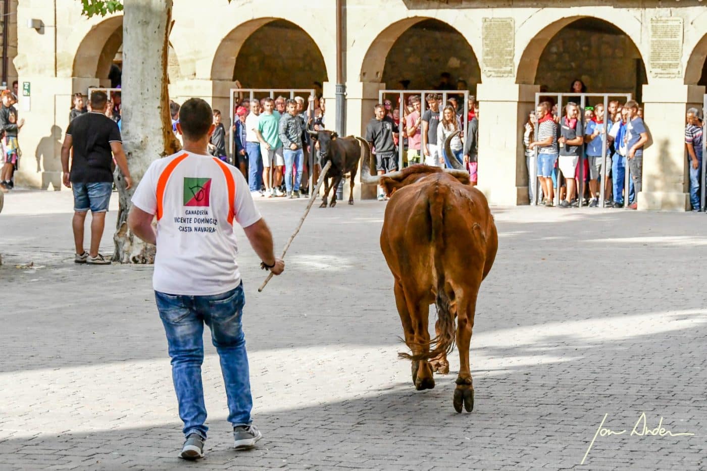 FOTOS: San Vicente de la Sonsierra despide sus fiestas de septiembre 9