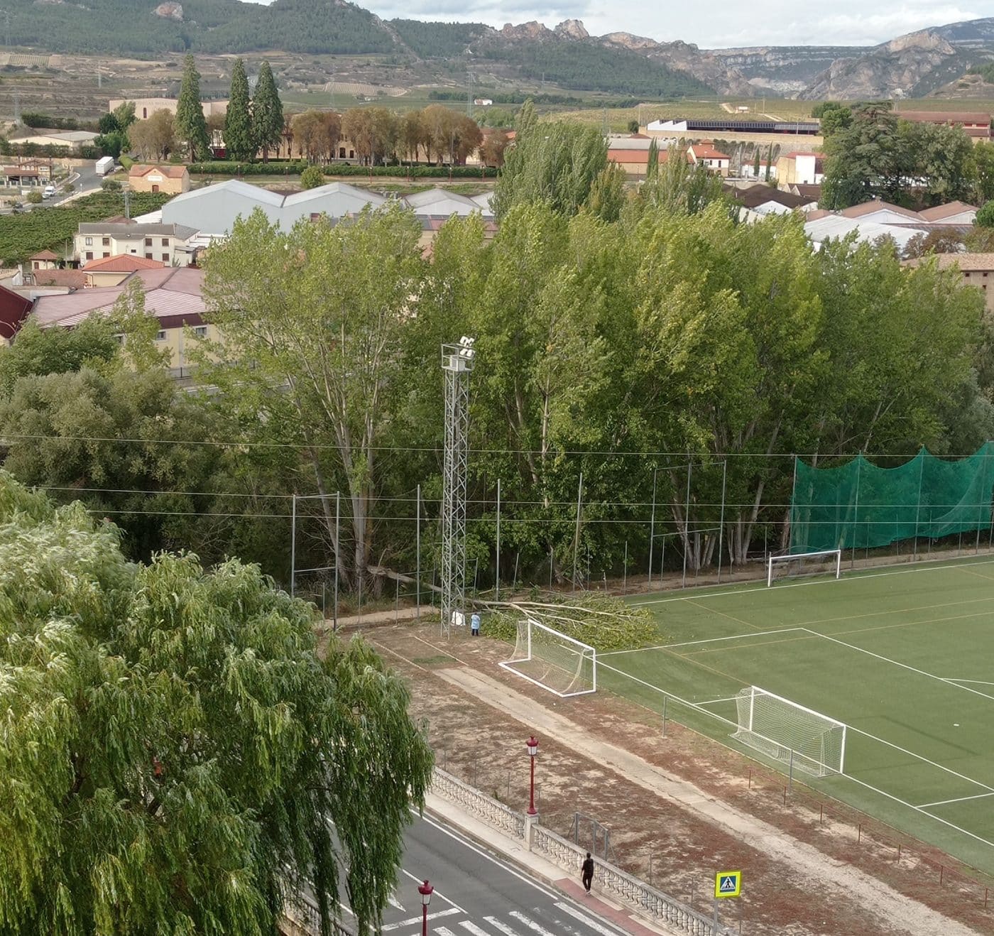 Los bomberos retiran un árbol caído sobre el campo de El Ferial 2