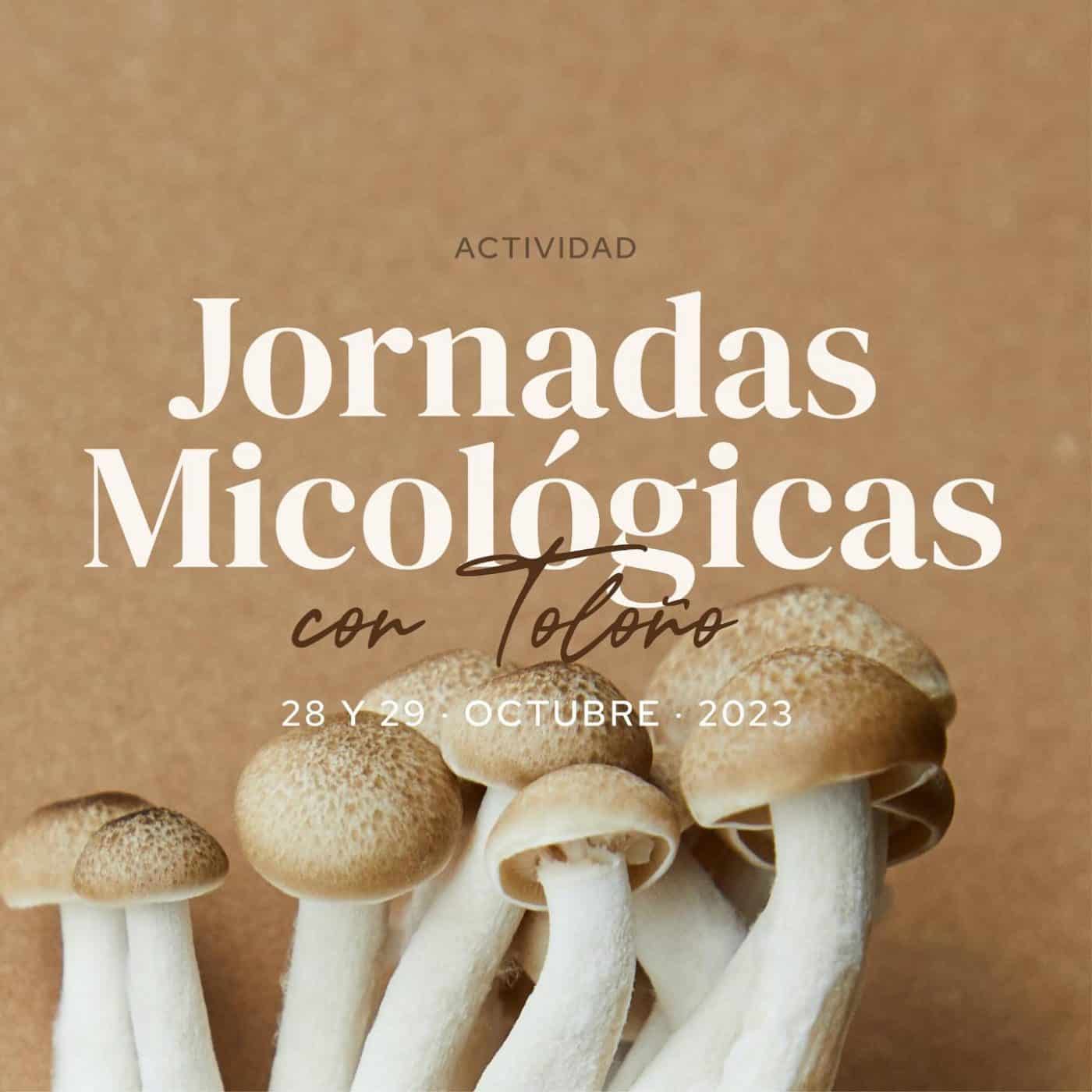 Las Jornadas Micológicas de la AD Toloño, los días 28 y el 29 de octubre 1