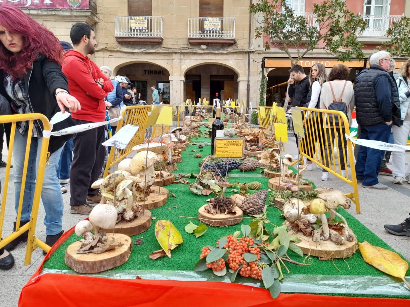 Haro celebra la riqueza natural y gastronómica de la región con las Jornadas Micológicas 16