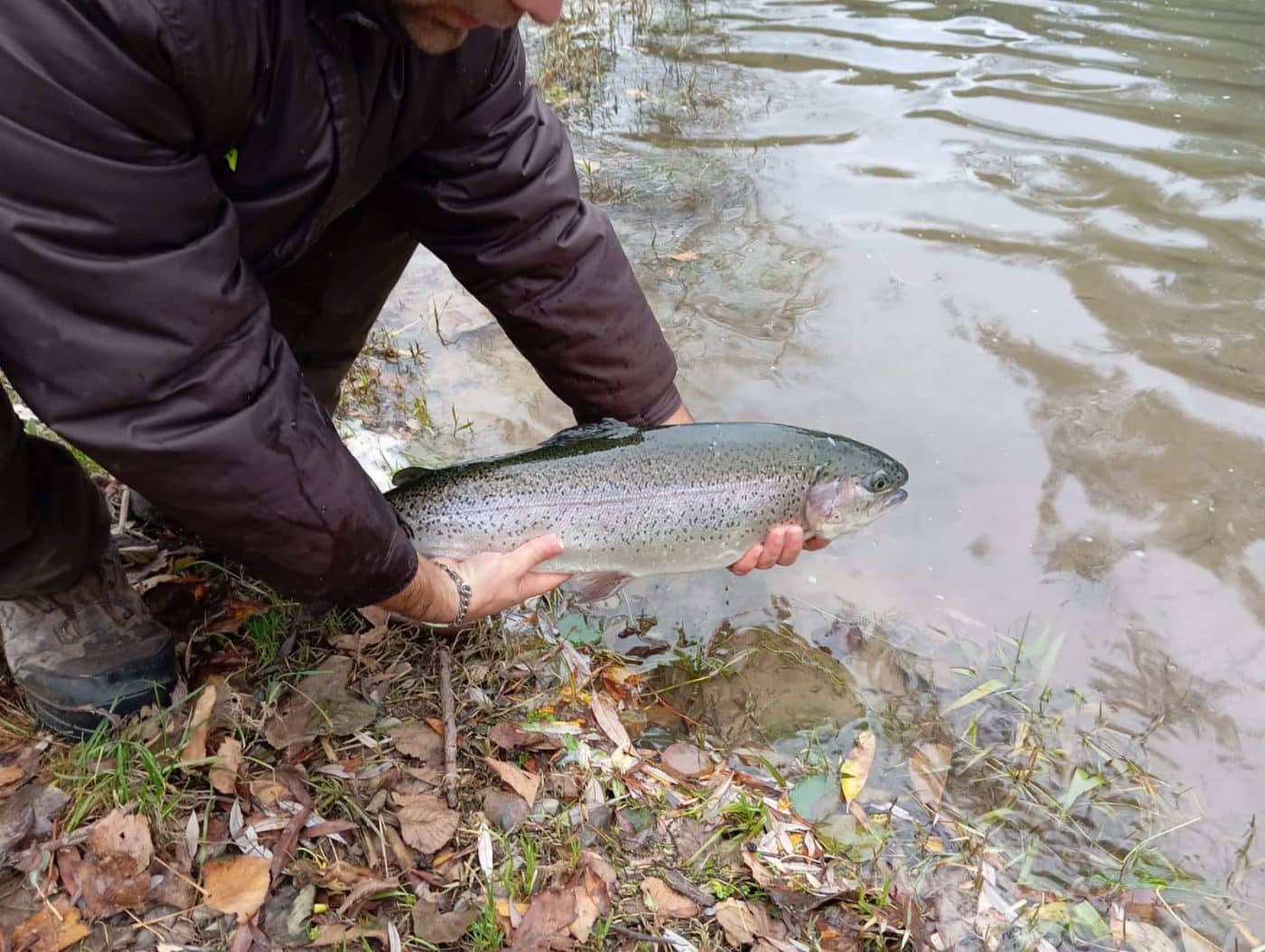 El coto de pesca intensiva de Anguciana abrirá todo el año, excepto agosto y septiembre 1