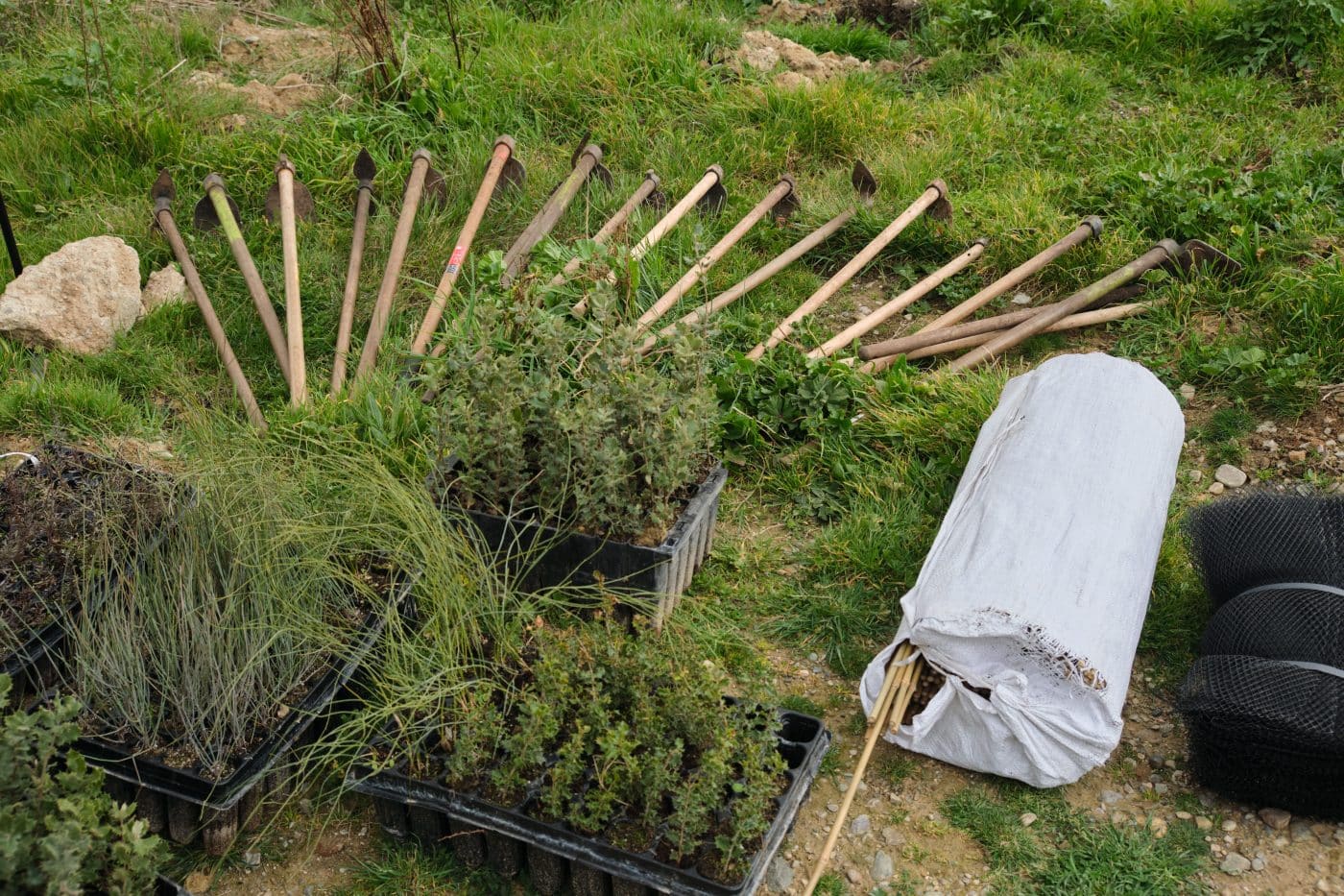 Bodegas Muga y Bosquia se alían para reducir la emisión de CO2 con la creación de un bosque en Haro 2 Bodegas Muga y Bosquia se alían para reducir la emisión de CO2 con la creación de un bosque en Haro 2