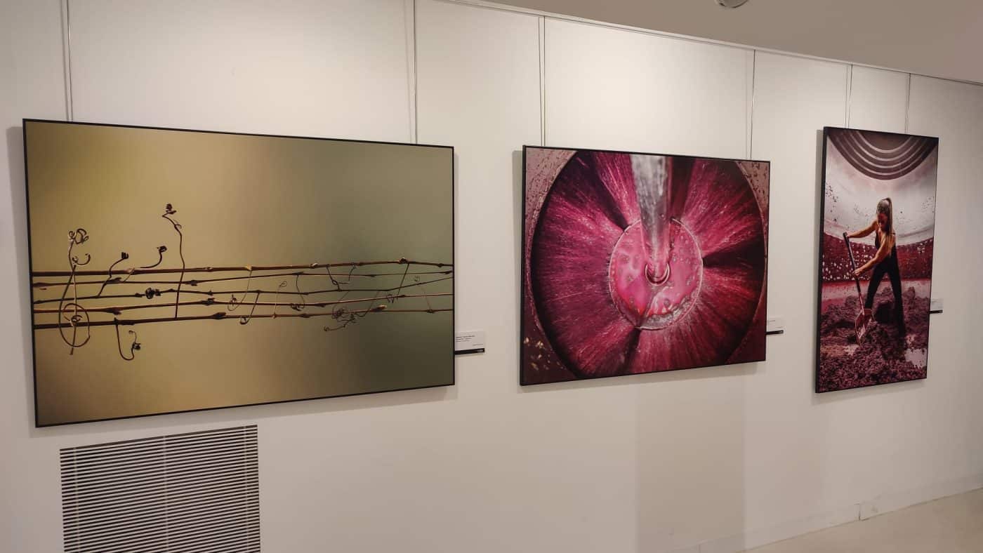 La exposición del Concurso de Fotografía 'El Rioja y los 5 Sentidos' ya se puede visitar en Santo Domingo 1 La exposición del Concurso de Fotografía 'El Rioja y los 5 Sentidos' ya se puede visitar en Santo Domingo 1