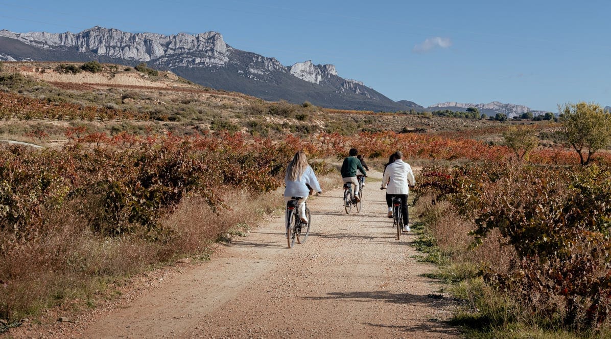 Rioja bate récords de enoturismo: 879.423 visitantes en 2023 1 Rioja bate récords de enoturismo: 879.423 visitantes en 2023 1