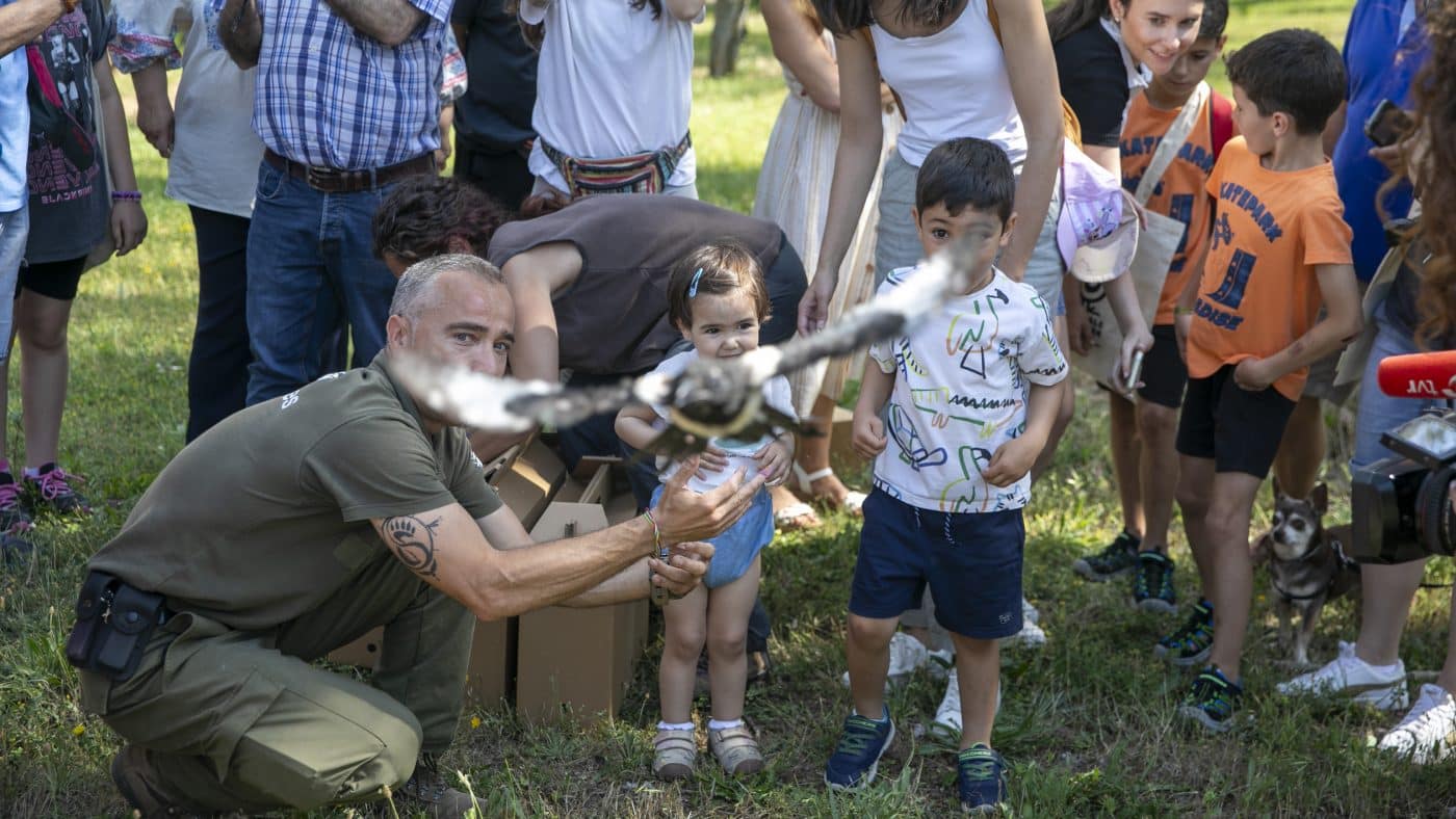 La Rioja celebra la cuarta edición del programa 'Ayúdale a volar' con la suelta de 28 aves 3