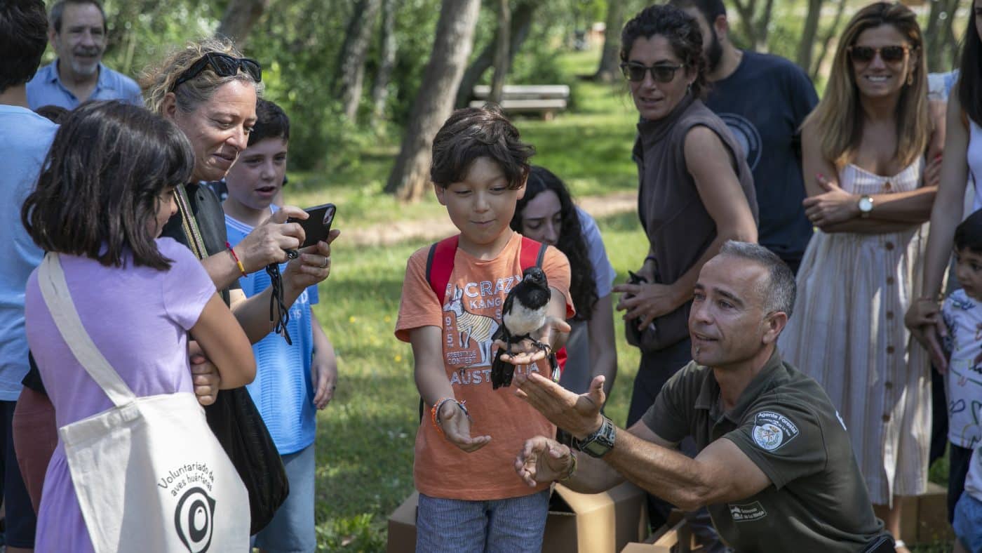 La Rioja celebra la cuarta edición del programa 'Ayúdale a volar' con la suelta de 28 aves 2