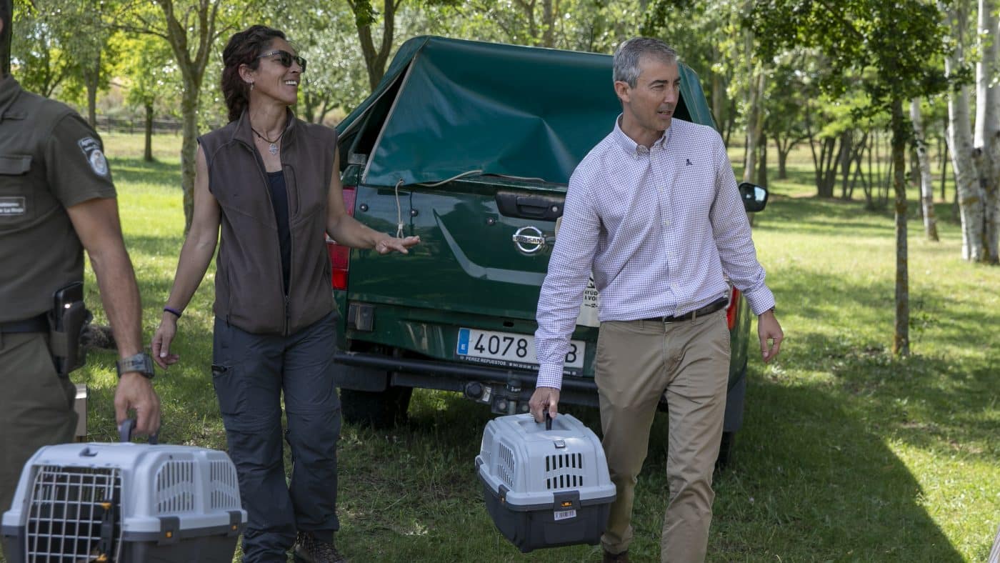 La Rioja celebra la cuarta edición del programa 'Ayúdale a volar' con la suelta de 28 aves 1