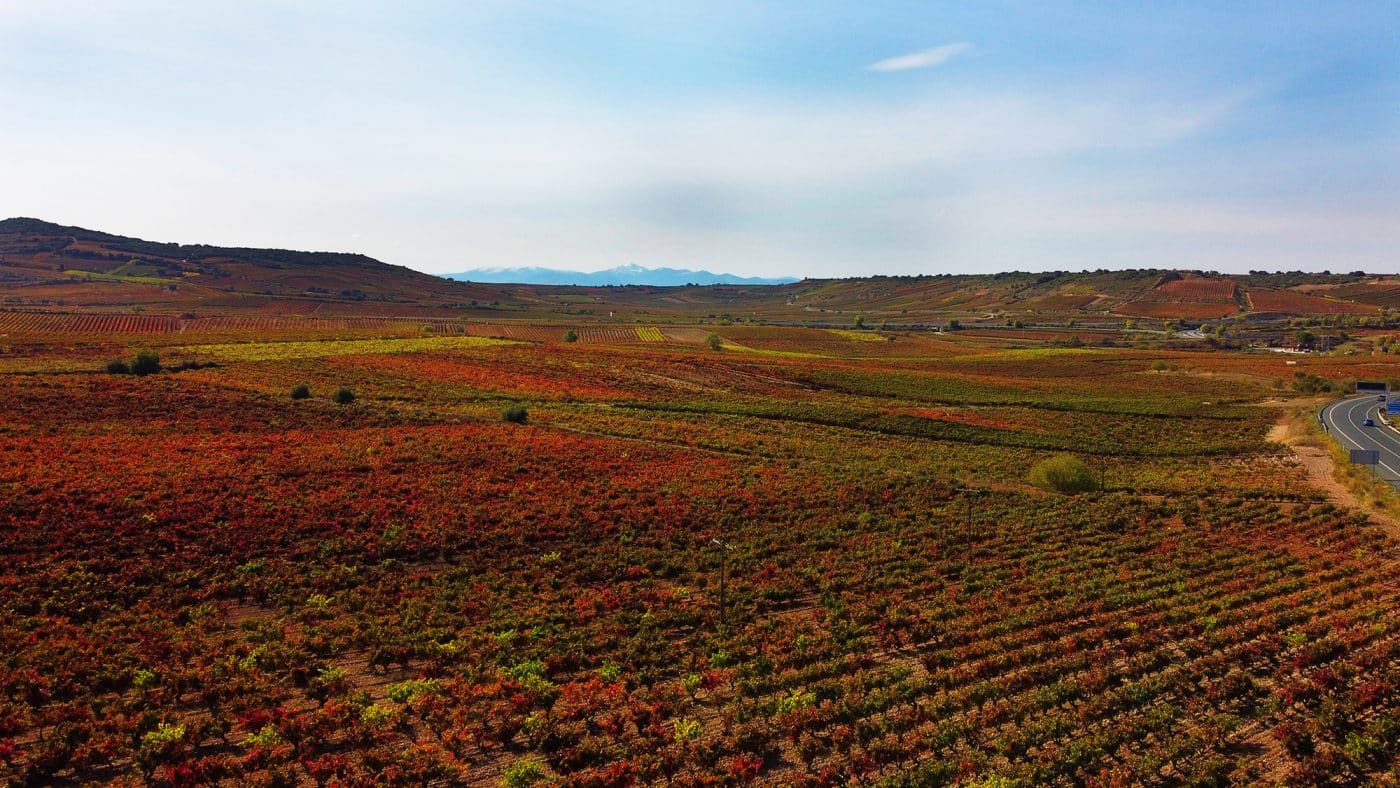 La Ruta del Vino Rioja Alta, la más visitada en 2023 con más de 389.000 visitantes 2