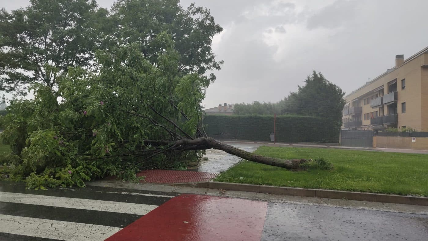 La tormenta estropea el miércoles de fiestas en Haro 8 La tormenta estropea el miércoles de fiestas en Haro 8