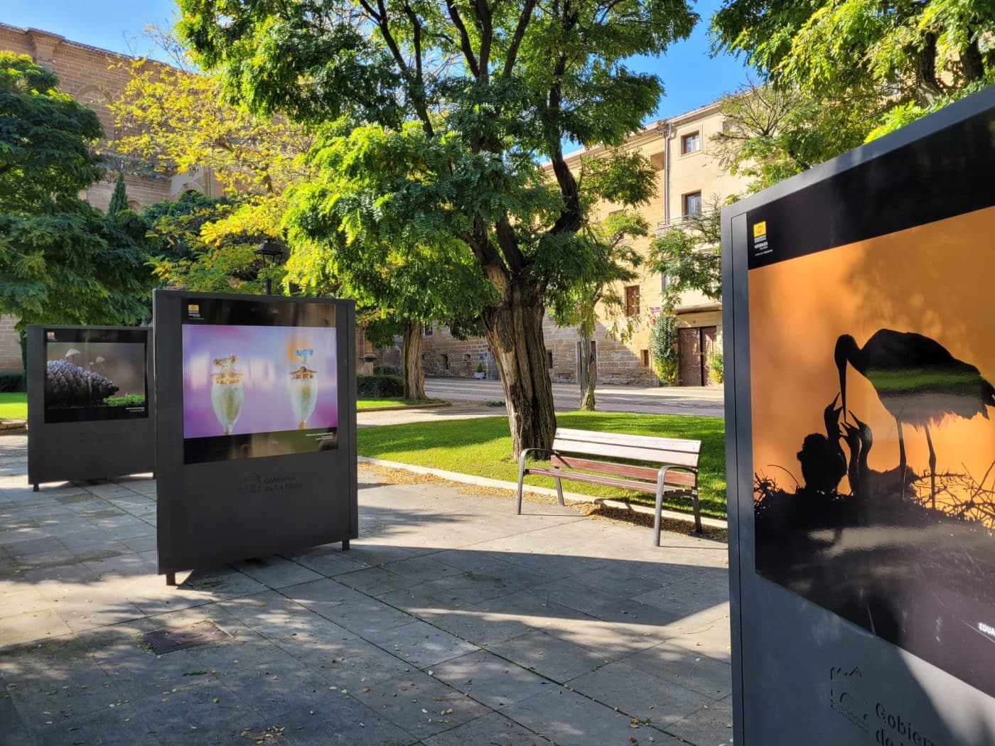 Casalarreina acoge la exposición 'Naturaleza de La Rioja' con visita guiada el sábado 16 de noviembre 1