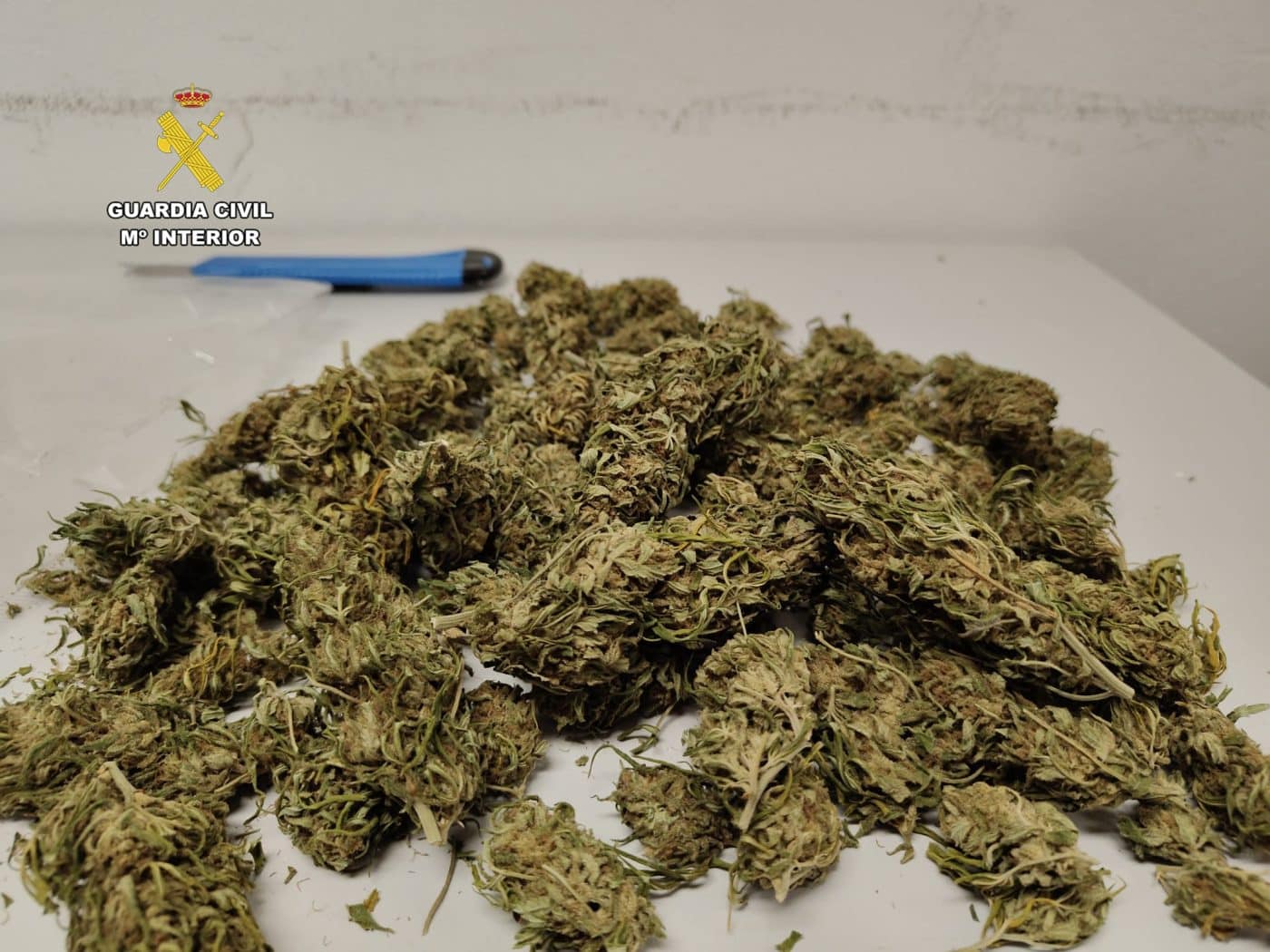 La Guardia Civil investiga a un vecino de Alberite por tráfico de drogas 1