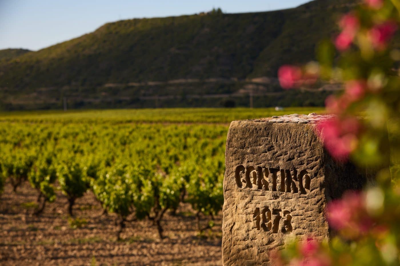 Viñedos del Contino: primeras uvas de residuo cero certificadas en España 1 Viñedos del Contino: primeras uvas de residuo cero certificadas en España 1