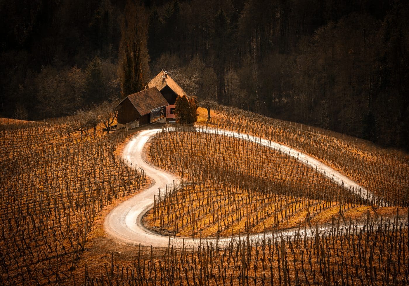 'Winter Grafic 3', del esloveno Boris Godnic, primer premio del Concurso de Fotografía 'El Rioja y los 5 Sentidos' 5 'Winter Grafic 3', del esloveno Boris Godnic, primer premio del Concurso de Fotografía 'El Rioja y los 5 Sentidos' 5