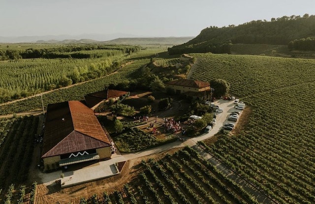 Celebra tu evento en Bodegas Amézola de la Mora: un enclave único entre viñedos 1