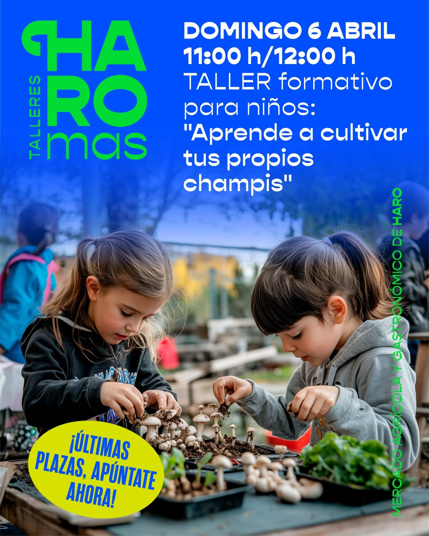 Haro prepara la inauguración del Mercado Agrícola y Gastronómico Haromas, que se estrena este domingo 2
