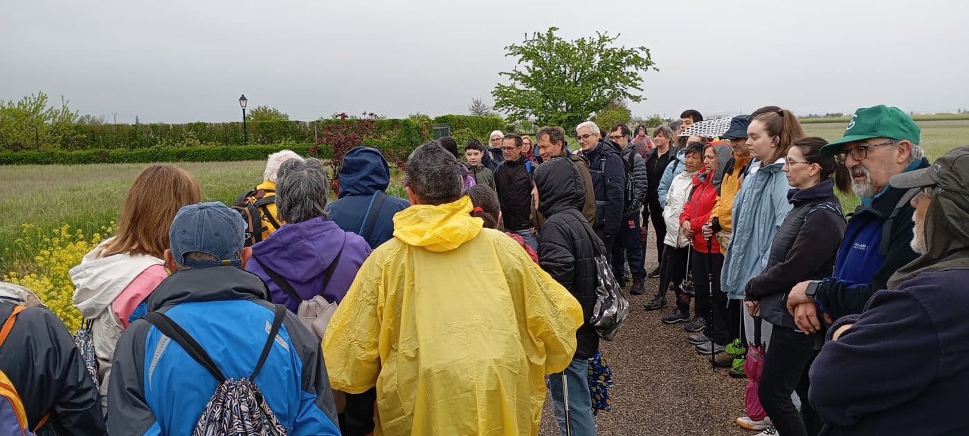 Más de 50 personas participan en el paseo saludable de Haro por la Vía Verde 7