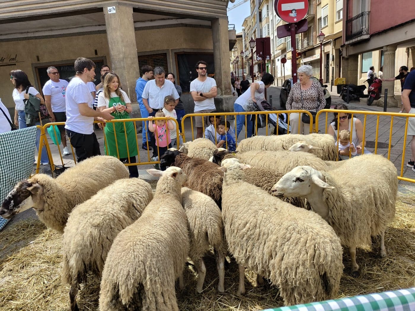 FOTOS: Capellán visita el mercado HAROmas en la plaza de la Paz 2