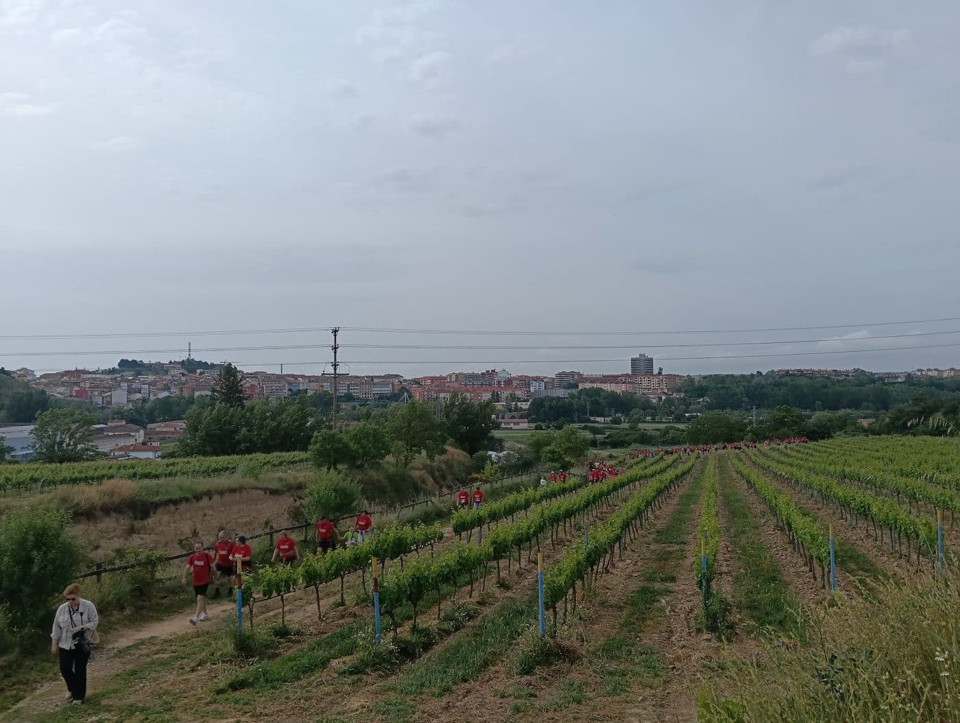Más de 500 participantes en la II Carrera Solidaria Viña Pomal en Haro 2 Más de 500 participantes en la II Carrera Solidaria Viña Pomal en Haro 2