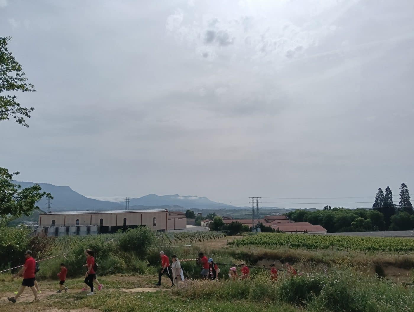 Más de 500 participantes en la II Carrera Solidaria Viña Pomal en Haro 4 Más de 500 participantes en la II Carrera Solidaria Viña Pomal en Haro 4