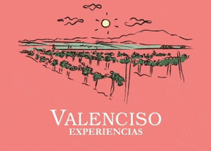 Banner Experiencias Valenciso 2025