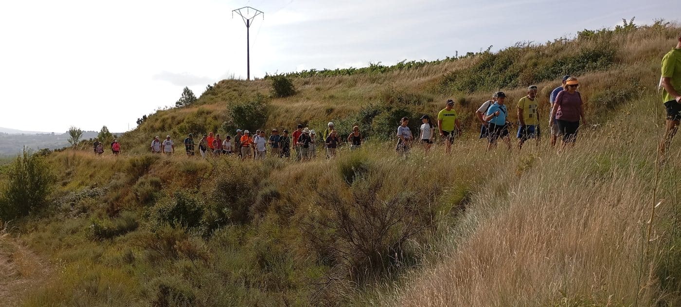 Medio centenar de personas disfrutan de un nuevo paseo saludable por el entorno de Haro 3