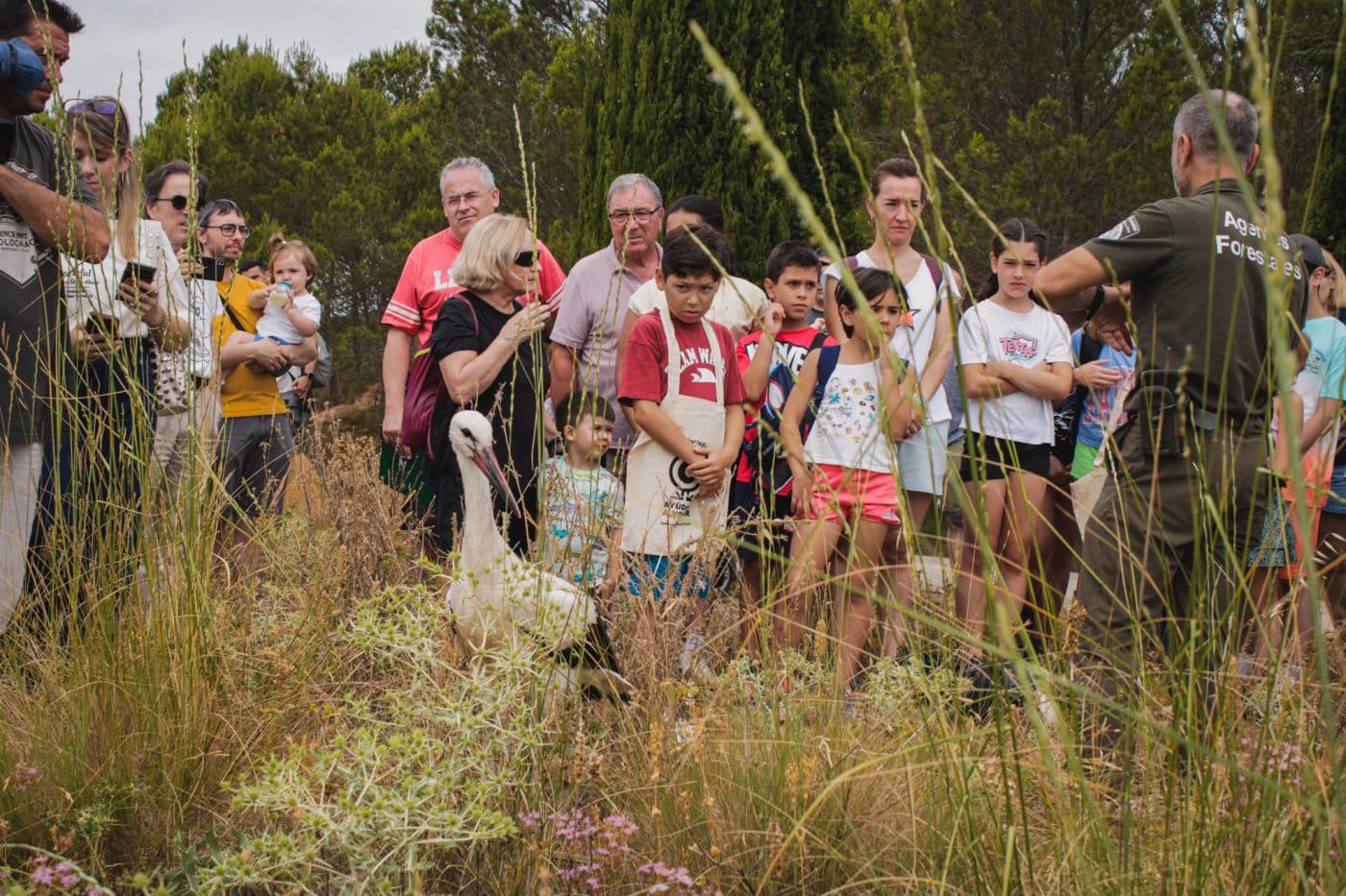 El 80% de las aves acogidas por voluntarios del programa riojano 'Ayúdale a volar' logran regresar a la naturaleza 2