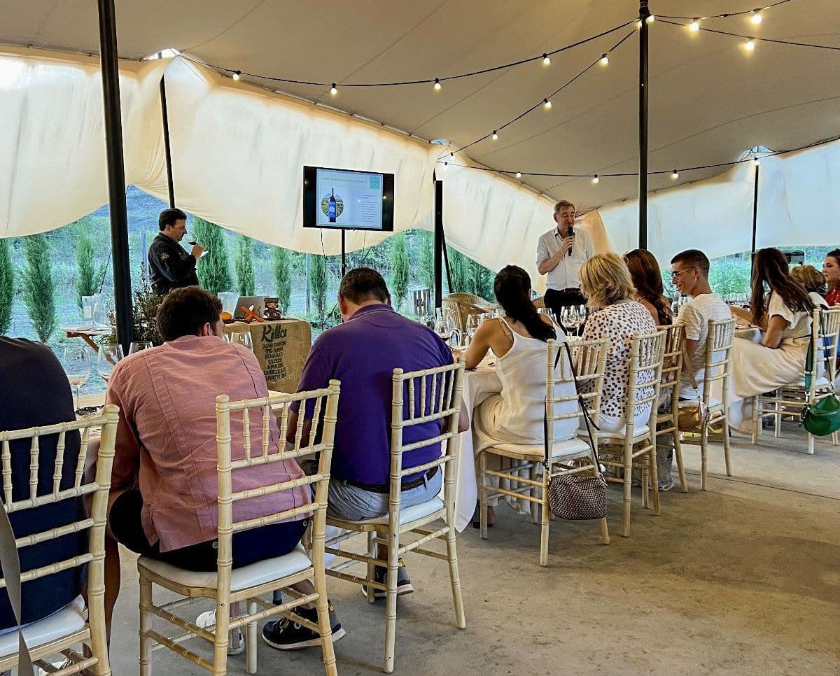 Experiencias Valenciso 2025: El vino como puerta a los sentidos 2