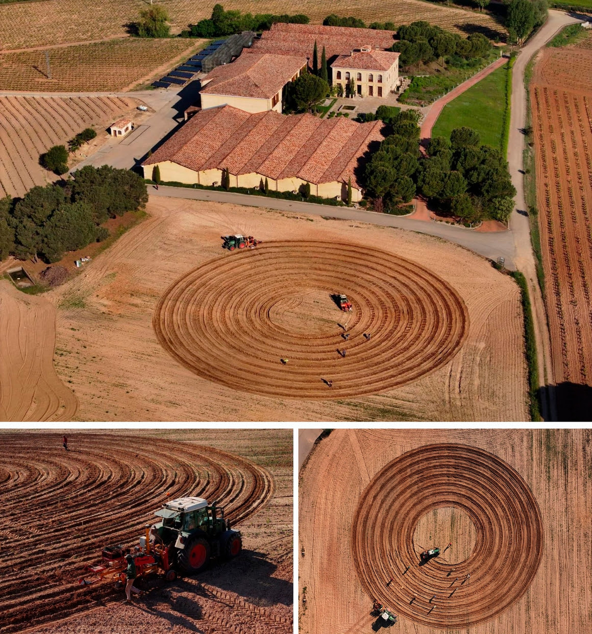 La Rioja Alta, SA planta en Ribera del Duero el primer viñedo en espiral de España 1 La Rioja Alta, SA planta en Ribera del Duero el primer viñedo en espiral de España 1