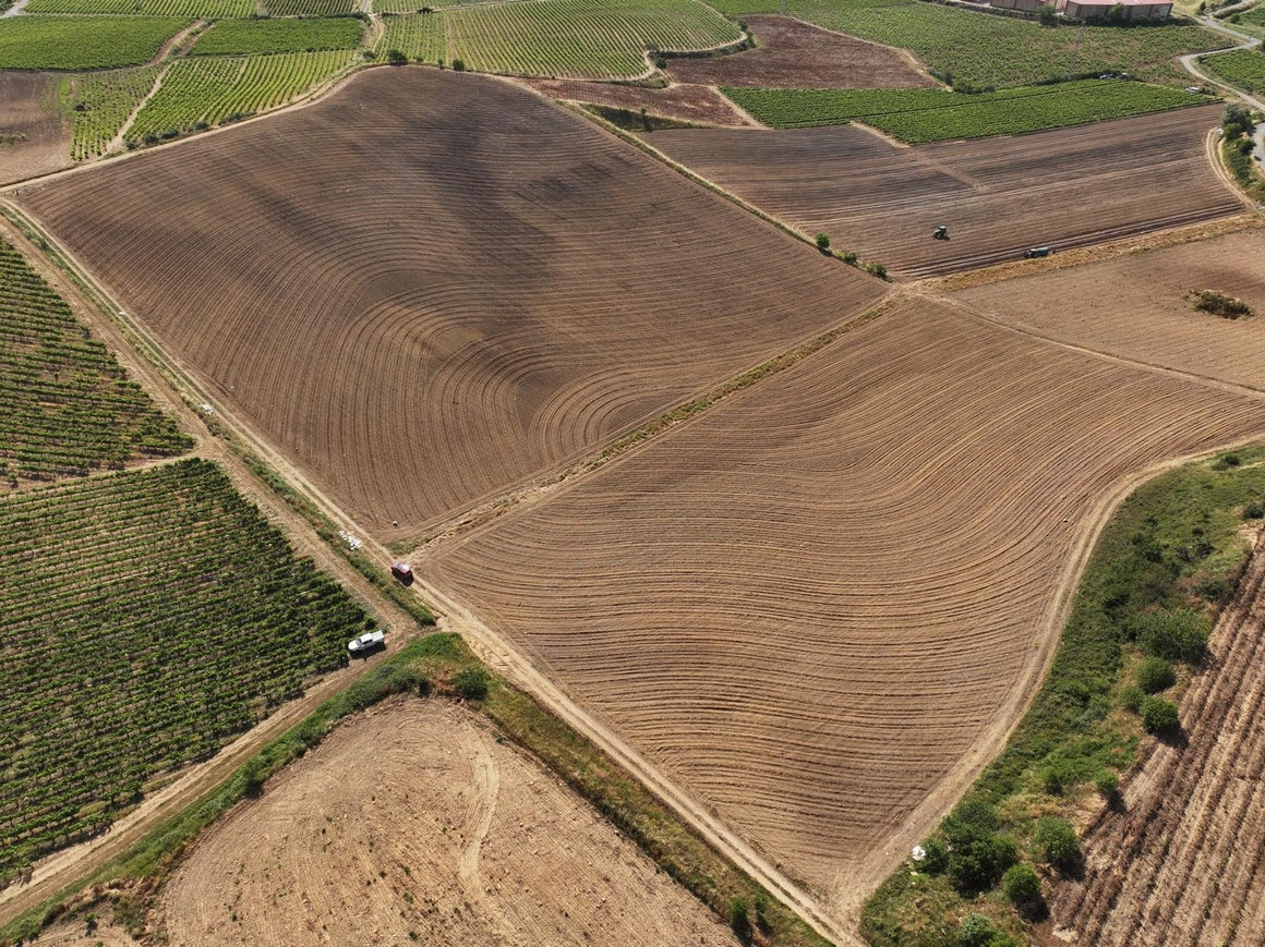 La Rioja Alta, SA planta en Ribera del Duero el primer viñedo en espiral de España 2 La Rioja Alta, SA planta en Ribera del Duero el primer viñedo en espiral de España 2