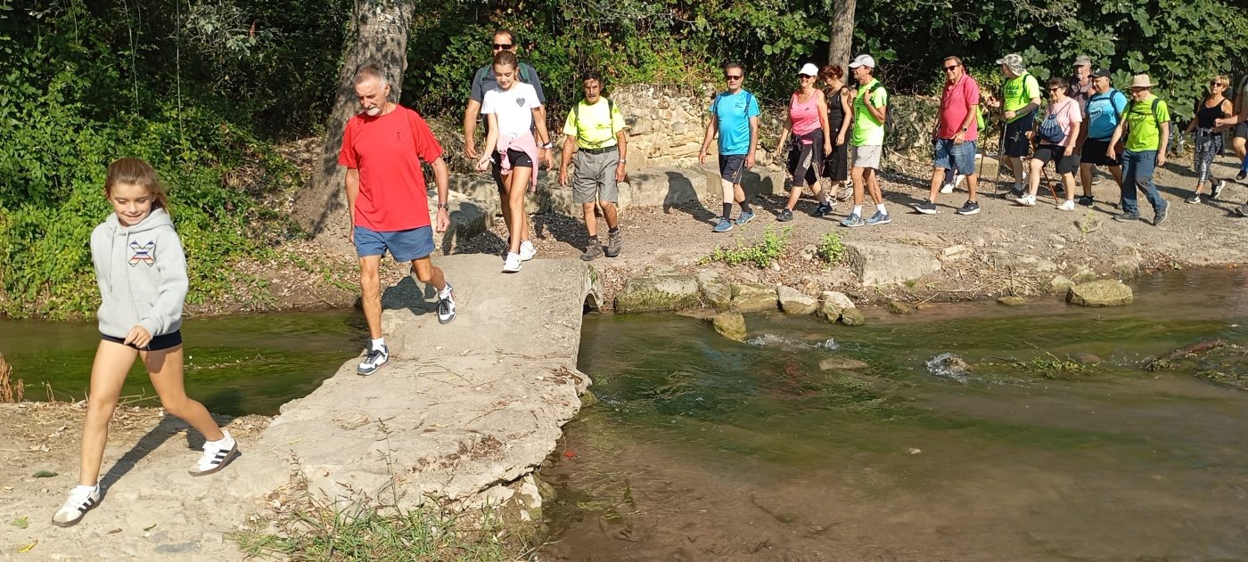 Un nuevo paseo saludable recorre Haro y su entorno 7 Un nuevo paseo saludable recorre Haro y su entorno 7