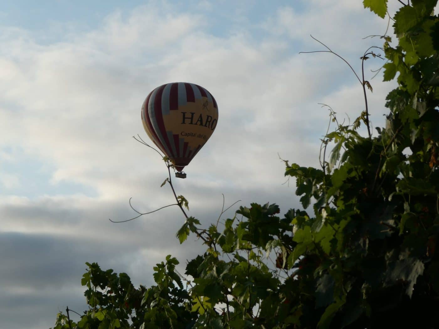 FOTOS: La mayor regata de globos de la historia de Haro continúa surcando los cielos 5