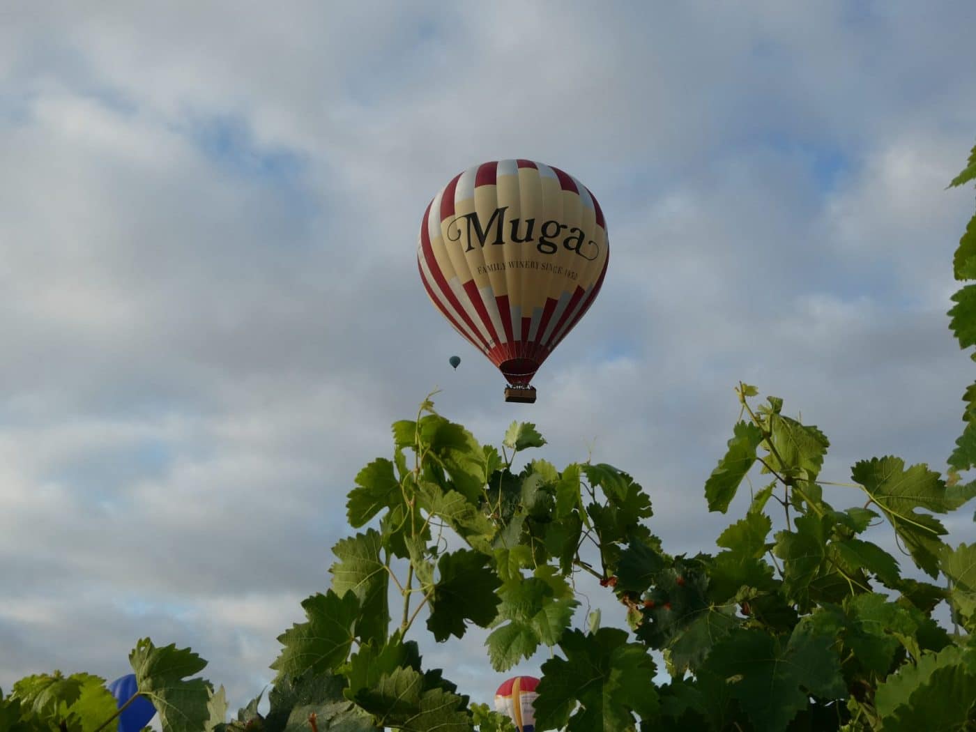 FOTOS: La mayor regata de globos de la historia de Haro continúa surcando los cielos 12