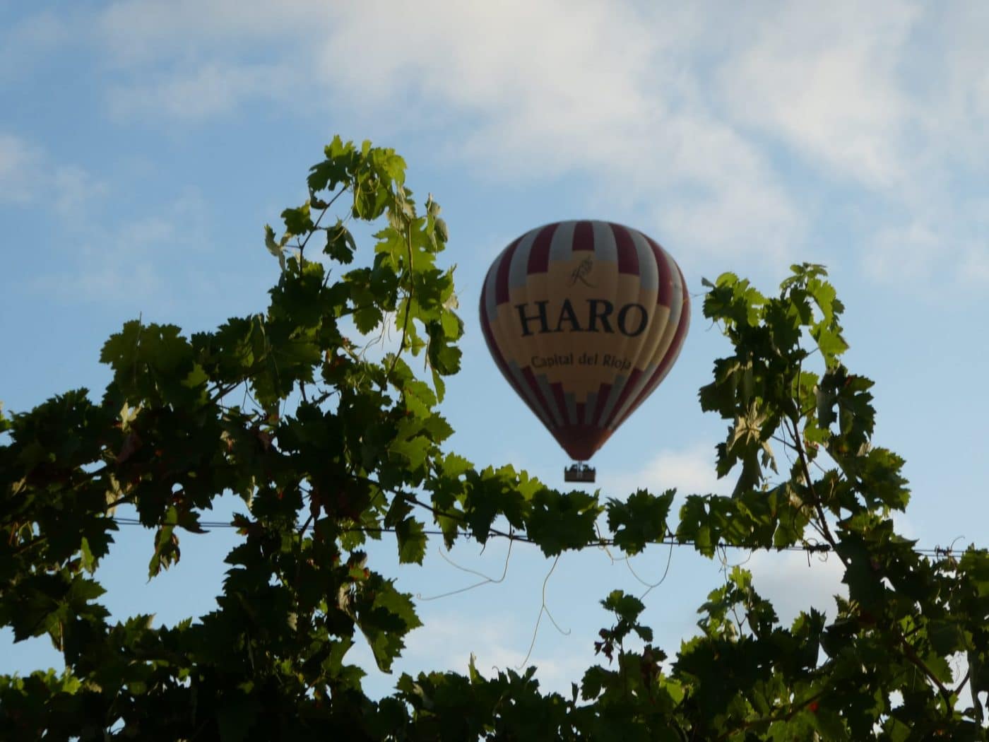 FOTOS: La mayor regata de globos de la historia de Haro continúa surcando los cielos 13
