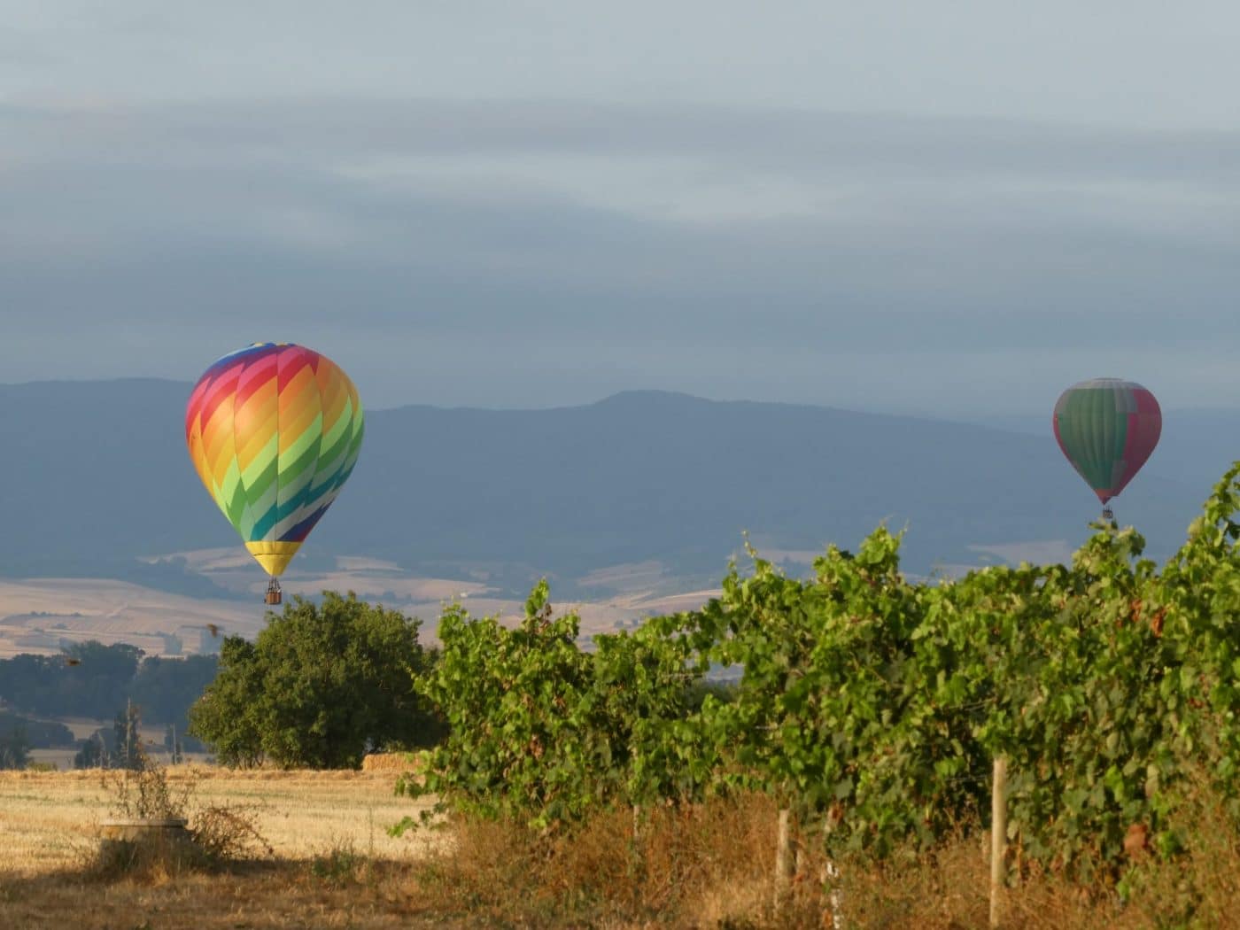 FOTOS: La mayor regata de globos de la historia de Haro continúa surcando los cielos 11