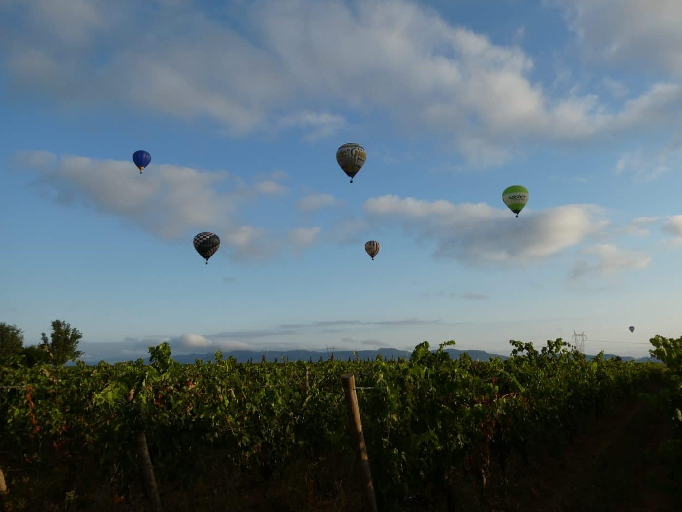 FOTOS: La mayor regata de globos de la historia de Haro continúa surcando los cielos 6