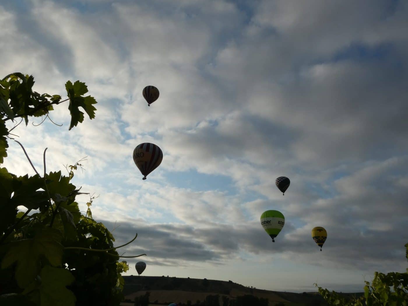 FOTOS: La mayor regata de globos de la historia de Haro continúa surcando los cielos 8