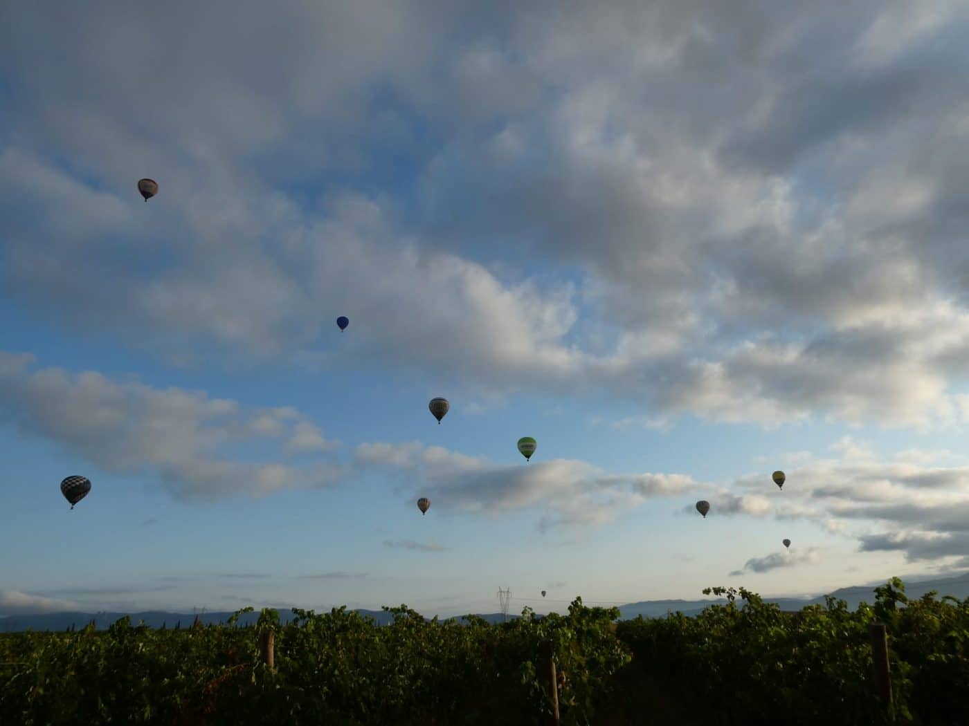 FOTOS: La mayor regata de globos de la historia de Haro continúa surcando los cielos 7