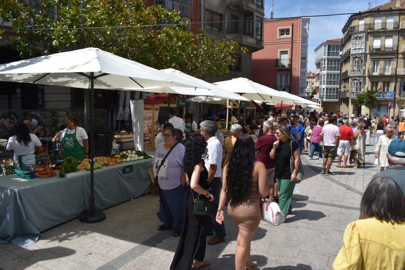 HAROmas endulza el verano con helados artesanales, mieles y productos con alma riojana 6 HAROmas endulza el verano con helados artesanales, mieles y productos con alma riojana 6
