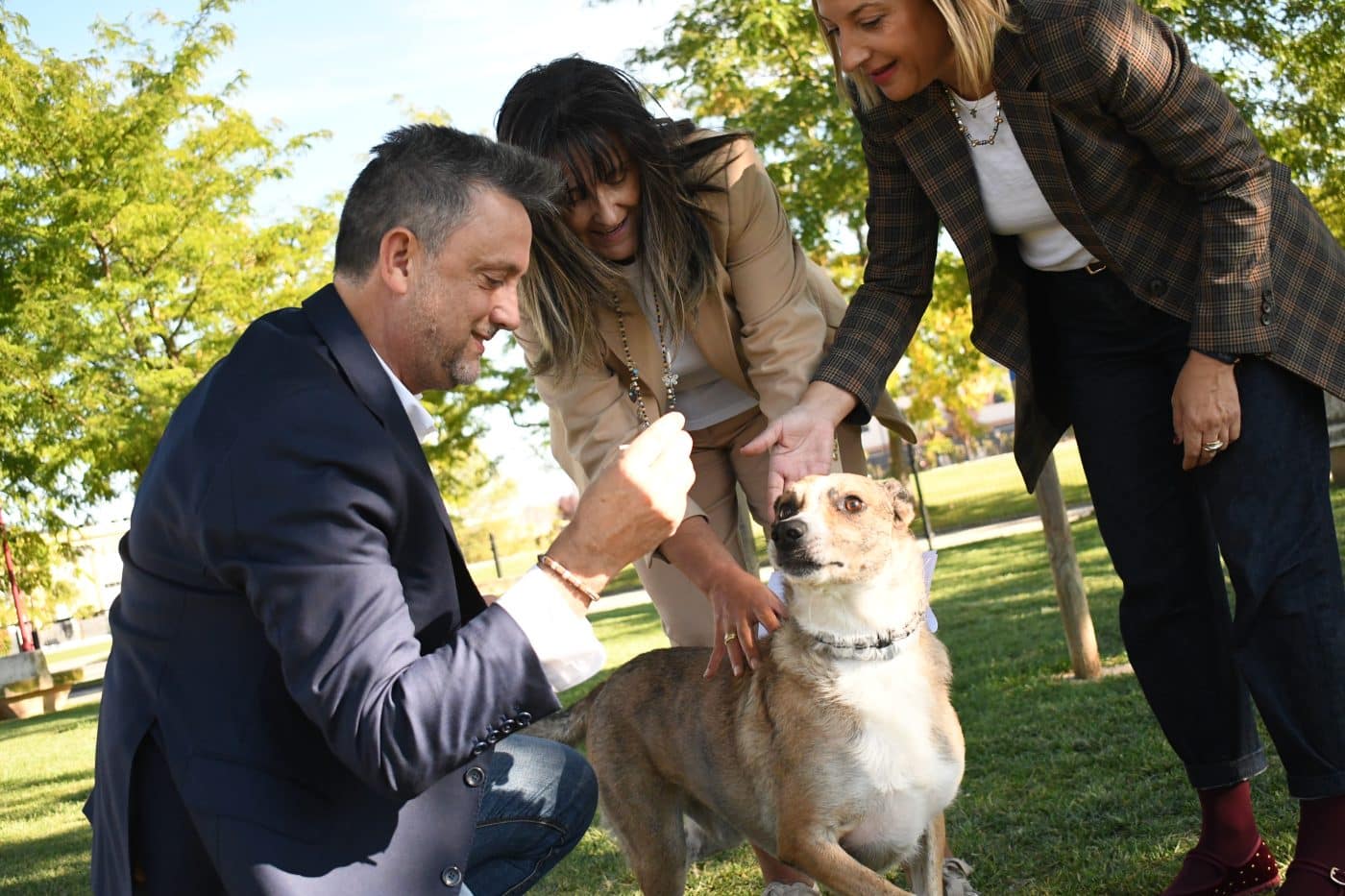 Haro implanta el censo canino mediante identificación genética para mejorar la convivencia y la limpieza urbana 2 Haro implanta el censo canino mediante identificación genética para mejorar la convivencia y la limpieza urbana 2