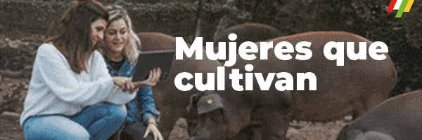 Banner Mujeres Rurales 2025
