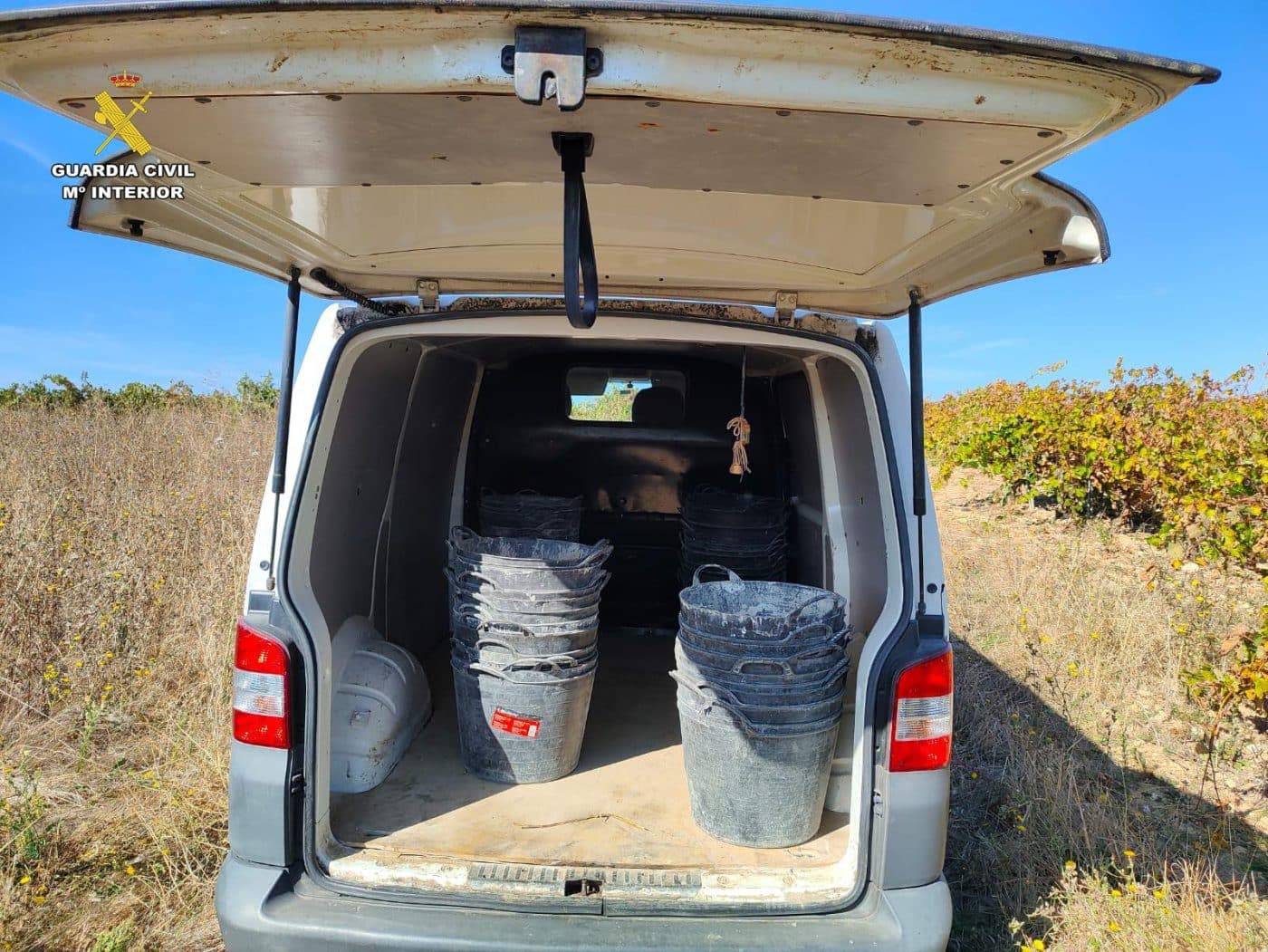 La Guardia Civil investiga a cuatro personas por el robo de 500 kilos de uva en una viña de Briones 4 La Guardia Civil investiga a cuatro personas por el robo de 500 kilos de uva en una viña de Briones 4