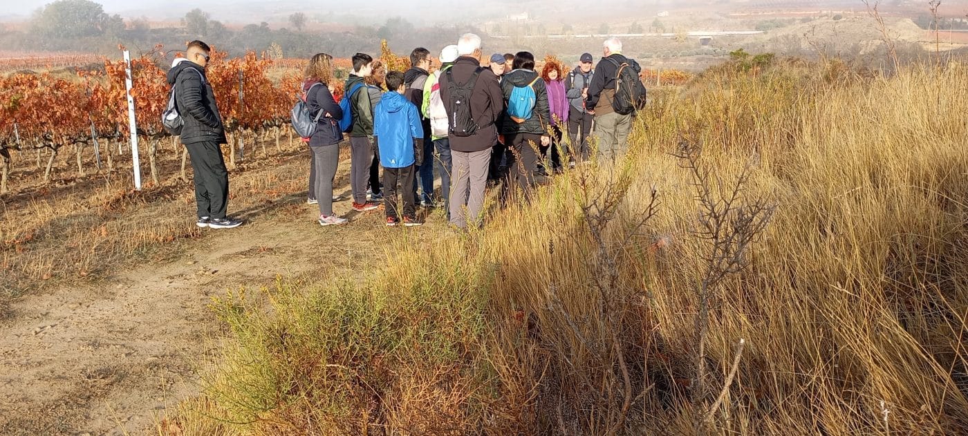Una veintena de participantes disfrutan del paseo saludable de este domingo por el entorno de Haro 2