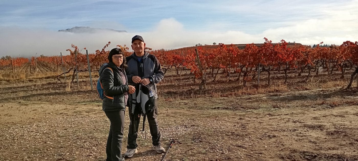 Una veintena de participantes disfrutan del paseo saludable de este domingo por el entorno de Haro 3