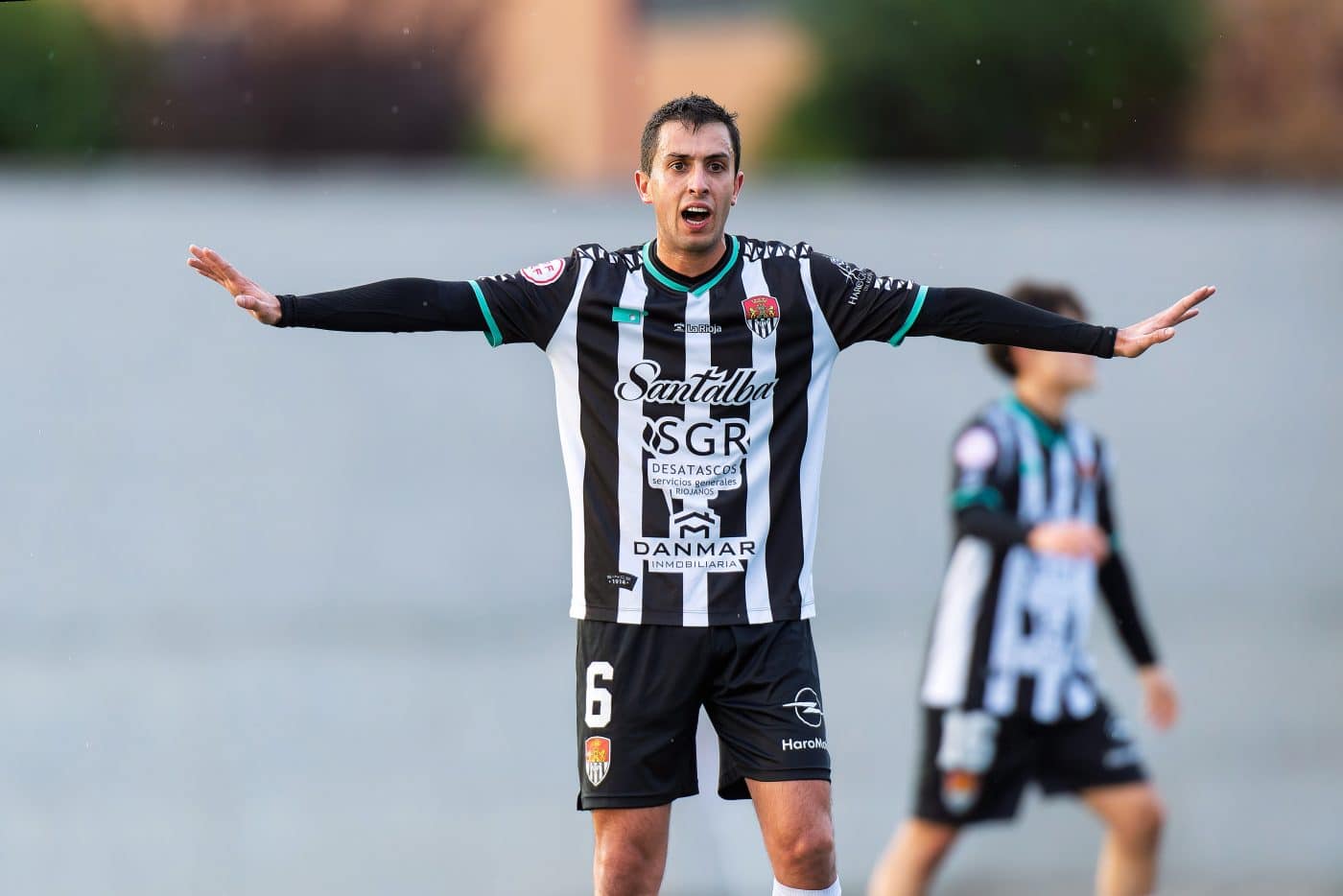 Triunfo solvente del Haro sobre el Berceo 10 Triunfo solvente del Haro sobre el Berceo 10