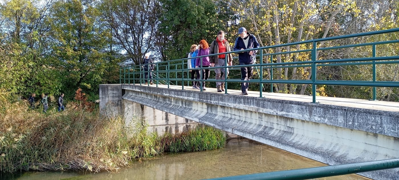 Una veintena de participantes disfrutan del paseo saludable de este domingo por el entorno de Haro 6