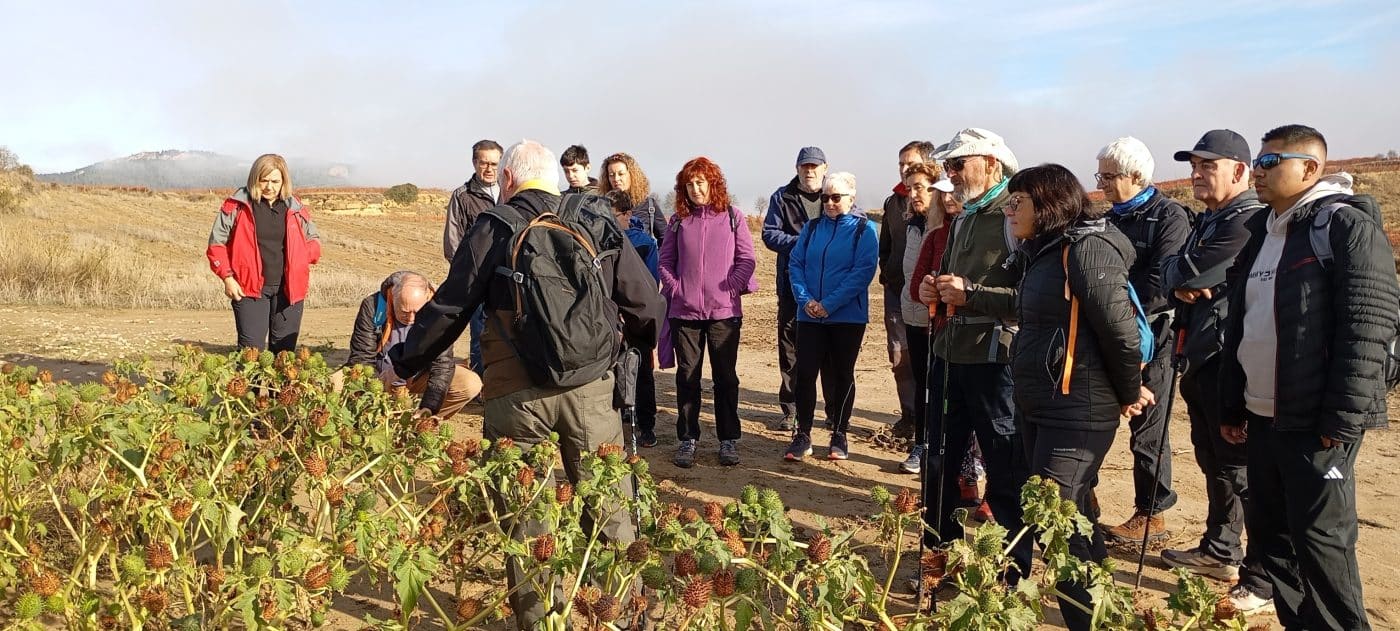 Una veintena de participantes disfrutan del paseo saludable de este domingo por el entorno de Haro 1